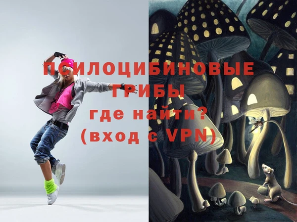 бошки Алексеевка