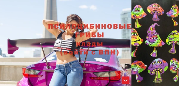 бошки Алексеевка
