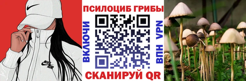 МЕГА онион  Алейск  Галлюциногенные грибы Psilocybine cubensis 